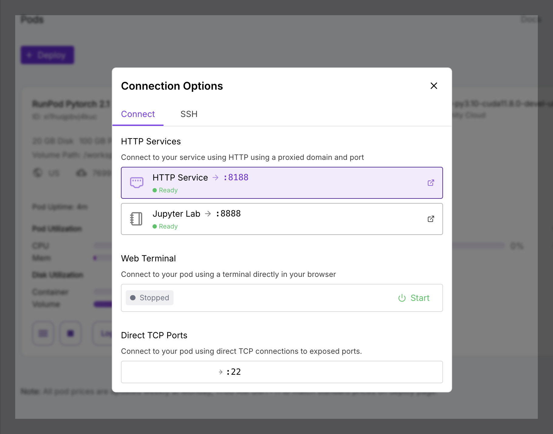 RunPod HTTP Services interface showing the connection URL
